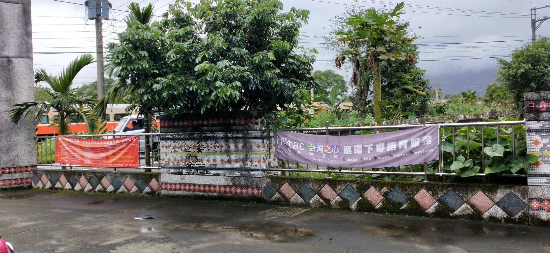 台灣之心愛護動物協會 HOTAC-免費犬貓絕育活動
